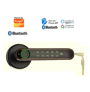 Lock Tuyattlock Fingerabdruck Bluetooth Handy Remote Access Freischlocken Innenhölzer