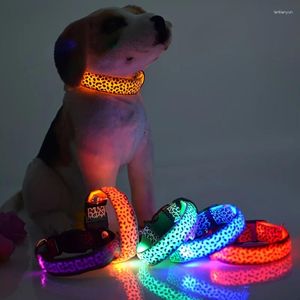 Colarinho de cachorro LED LED LED USB Recarregável Ajustável Ajustável Planking Collar Night Night Anti-Perd Dogs Segurança brilhando