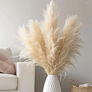 Decorative Flowers Large Pampas Grass Fluffy Natural Bouquet Perfect For Autumn Thanksgiving Halloween Christmas Weddings Bohemian Party