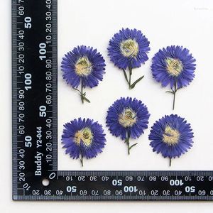 Decorative Flowers 120pcs Pressed Dried 3-5cm Blue Flower Stem Leaf Herbarium Resin Epoxy Jewelry Card Bookmark Frame Phone Case Makeup Lamp