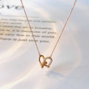 Designer Brand U-shaped horseshoe buckle double ring necklace with a high-end feel Instagram style metal double-layer collarbone chain neck simple temperament