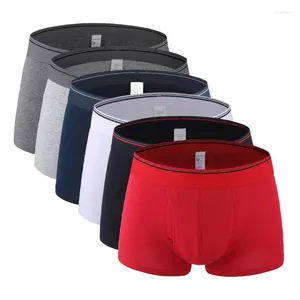 Underpants 6pcs/lot maschile maschile di qualità bianche