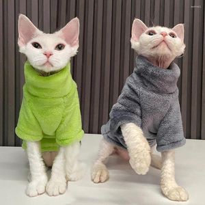Hundkläder Vinter varma hårlösa kattkläder för små medelstora hundar Turtleneck tröja valp katter jacka kappa chihuahua mjuka husdjur leveranser