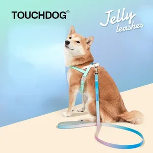 Hundekragen PVC Designer -Leine und Kragen Set Brust Rückenanzug Gelee -Gradient Großes mittelgroßes Welpe -Gurt -Modezubehör