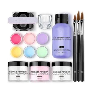 Kits Brand New Hot Sale DIY Nail Art Kit with Acrylic Monomer Liquid & Powder System Kit with 6 Color Nail Carving Powder Tools