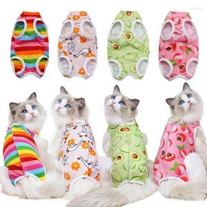 Costumi per gatti Pet Dog Svezzamento Vestiti di cotone per piccoli gattini Cuccioli Sterilizzazione Tuta Anti-leccatura Abiti per la cura del recupero