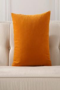 Solid Color Throw Pillow Coat Cushion Sofa Office Waist Backrest 0354557011355591