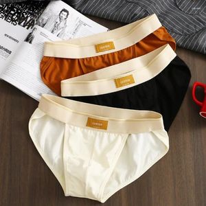 Underpants 3-piece Men's High Fork Underwear Solid Color Triangle Pants Cotton Simple Trendy Large