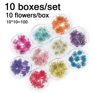 Decorações 100pcs Flores secas Decoração de unhas Decoração de cafetões de adesivos florais naturais Acessórios de manicure DIY para suprimentos de esmalte em gel UV