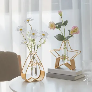 Vasi Nordic Ins Style Creative Creative Hydroponic Glass Test Table Ornaments Ornaments Soggiorno Decorazione da pranzo Cragi