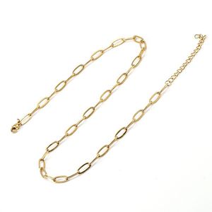 18K Figaro Chain Cuban Chain Titanium Steel Jewelry with Chain Paper Clip Chain Gold Men's and Women's Styles