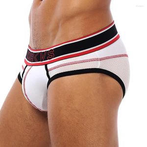 Underpants 50PC/LOT Wholesale Men Underwear Sexy Gay Briefs Nylon Breathable Cueca Mesh Quick Dry