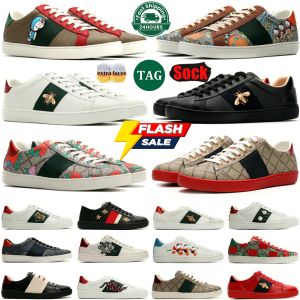 Designer Italien Luxury Sneakers Platform Low Men Kvinnor Skor Casual Dress Trainers Tiger broderad ess bin White Green Red 1977S Stripes Mens Shoe Walking Sneaker