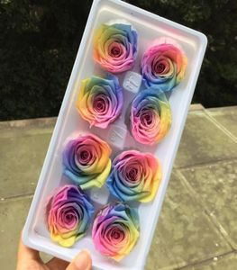 Grade A preservado Rainbow Rose Headelnelle Roses para Festas de Casamento Acessórios para Decoração de Flores de Fuas Favor Y11287796465