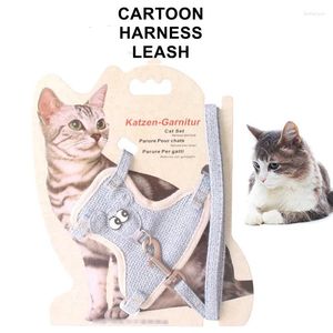 Hundhalsar Pet Cartoon Harness Leash Set For Cats Dogs Vest Chest Strap Trap Trap Rope Shitzu Chihuahua Collar Clothes Supplies Tillbehör Tillbehör