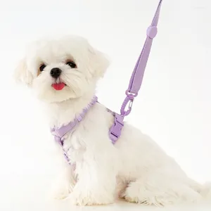 Dog Collars Small Medium Lead Leash Personalized Adjustable Selling Harness Protective Cute Anti-Loss Collier Chien Pet Supplies