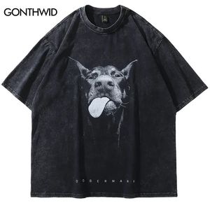 メンストリートウェアヒップホップ特大のTシャツ面白いドーバーマンドッググラフィックTシャツヴィンテージウォッシュブラックTシャツハラジュクティーコットン240325