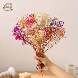 Decorative Flowers Mixed Color Dried Babys Breath Flower Gypsophila Wedding Decoration Bridal Bouquets Holiday Gifts Paniculata Table