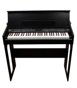 61 Keys Multifunctional Digital Piano Keyboards Musical Instruments3831934