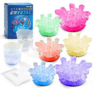 Crystal Growing Science Experimental Kit Novelty Toys Easy DIY STEM Toy Lab Experiment Specimens Educational Gift for Kids Teens B8788270