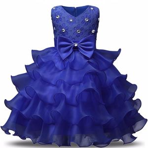 Girls dress kids frill lace party wedding dress