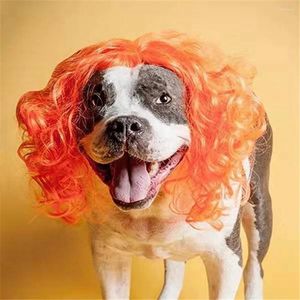 Parrucche per animali domestici per cani Chiedi per i poppati del cosplay Halloween Vestite per la parrucca per gatti.