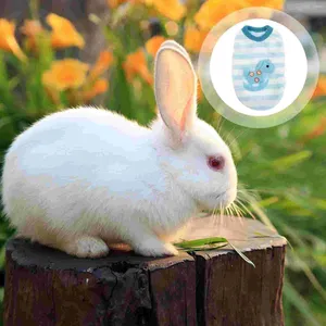 Giubbotto abbigliamento per cani adorabili conigli vestiti abiti vestiti per animali domestici per piccoli animali