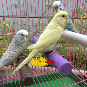 Other Bird Supplies 1Pc Standing Stick Colorful Claw And Beak Grinding Bar Parrot Toy Pet Cage Accessories