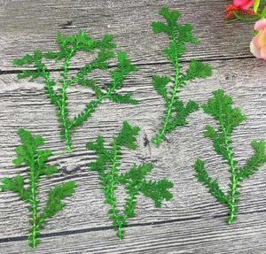 Decorative Flowers 100pcs Pressed Dried Water Plant Waterweed Leaf Leaves Herbarium For Jewelry Pendant Craft Bookmark Making Accessories