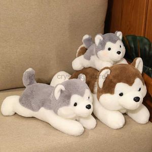 Filmer TV PLUSH Toy Cute Husky Dog Plush Toys Animal Soft Fylld stor storlek Fluffy Pillow Dolls Kawaii Möbler Decoration Children Birthday Present 240407