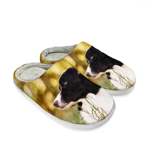 Kapcia WhereSart Border Cute Collie Dog Prints Kobiety bawełniany pantofel wewnętrzny para podłogi 2024 buty zimowe domowe miękkie sypialnia kroplowanie sypialni