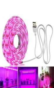 Full Spectrum led grow lights USB led strip lights 05m 1m 2m 2835 Chip LED Phyto Lamps For Greenhouse Hydroponic Plant Growing3502809