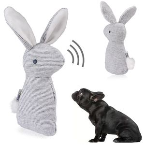 Pet Squeaky Funny Dogs Animal Shape Toys Gift Set Rabbit Huzking por Chew Bite Squeaker Dog 240328