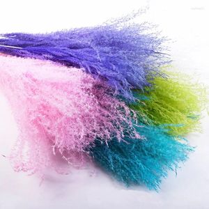 Decorative Flowers Natural Dried Reed Grass With Primary Color Pink And Black High Quality Bouquet Shooting Props Table Bedroom Decoratio