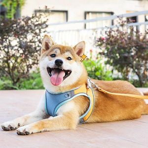 Dog Collars Reflective Collar Leash Set Deerskin Velvet Breathable Clothes Harness Traction Rope Pet Accessories Supplies