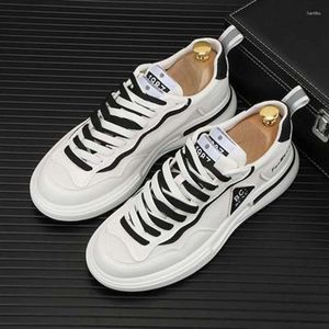 Casual skor harajuku vita sneakers män spring vulkaniserad mesh tyg street hip hop plattform skor