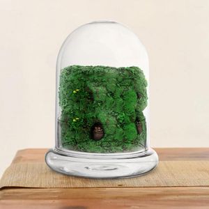 Wazony 2PCS Glass Terrarium Sadzacza wazon Przezroczysta roślina z mchem pokrywki do majsterkowania