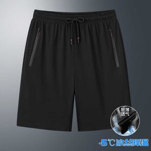 Ice Sports Shorts Mens Summer Casu