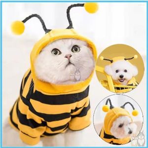 Vestuário de cachorro halloween quente engraçado roupas de gato de gato fibra de poliéster macio e amigável para animais de estimação respirável