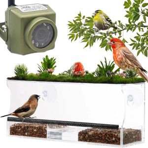 Kameras Camhi 940nm IR Outdoor Mini wasserdichte Video Sicherheit Haustier Nest Vogelbeobachtung Kamera 1080p 5 MP WiFi IP Bird Box Kamera Kit Kit