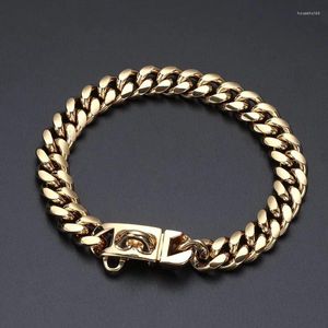 Dog Apparel Collar Imitation Diamond Large Gold Chain Cuban Strong Metal Luxury Designer Supplies