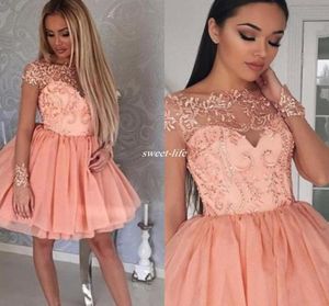 Blush Pink Short Party Dresses Sheer Lace Short Sleeve 2020 Cheap 8th College Junior Homecoming Dress for Cocktail Prom Gowns2671766
