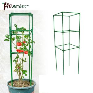 Suporta estacas de plantas para plantas internas suportam racks racks de tomate suporte de tomate quadrilhão de tomate para pepino vegetal de jardim