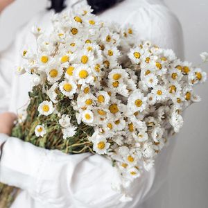 Decorative Flowers Dried Daisy Bouquet Natural Dry White Artificial Sunflowers Daisies Arrangements For Farmhouse Vase Party Decor