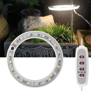 Grow Lights Light Indoor Light LED Desktop Mini USB