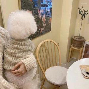 Hundkläder varm tröja fast färg enkel vinter ull tvåbenad klädvalp teddy för små katt husdjurskläder kostym