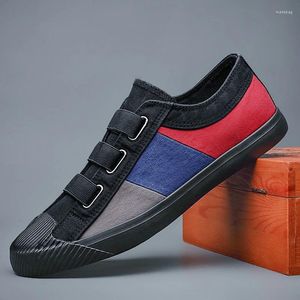 Casual Shoes Spring 2024 Men's Simple Joker Canvas andningsbara blandade färger Loafers Elastic Band Youth Trend