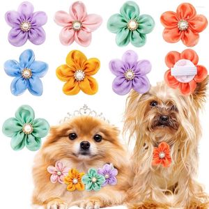 Hundkläder 10st blommor krage husdjur valp bowties accessoreis glidbar liten katt båge för hundar husdjur grooming accessori