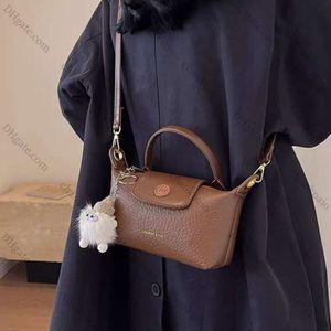 Maillard Style Fashion Bag 2024 New Womens Crossbody 만두 가방 가을 겨울 지갑 및 핸드백 고급 디자이너 미니 가방 1as az