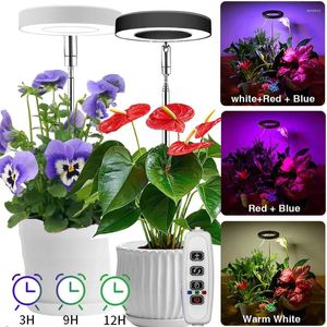 Grow Lights Full Spectrum LED para plantas internas Altura Ajuste Ajuste Lâmpada de cultivo Flor Halo Ring Phyto Growth Light